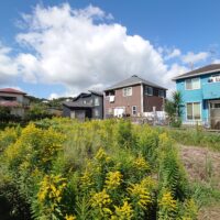 一宮町　東浪見　売地74坪 画像8