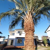 いすみ市岬町椎木　南国風な中古住宅 画像5