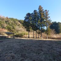 いすみ市緑豊かなエリアの分譲地 画像7