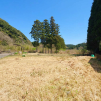 【価格改定】いすみ市緑豊かなエリアの分譲地 画像9 【価格改定】いすみ市緑豊かなエリアの分譲地 画像9