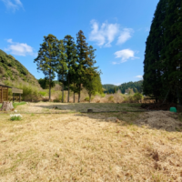 【価格改定】いすみ市緑豊かなエリアの分譲地 画像5 【価格改定】いすみ市緑豊かなエリアの分譲地 画像5